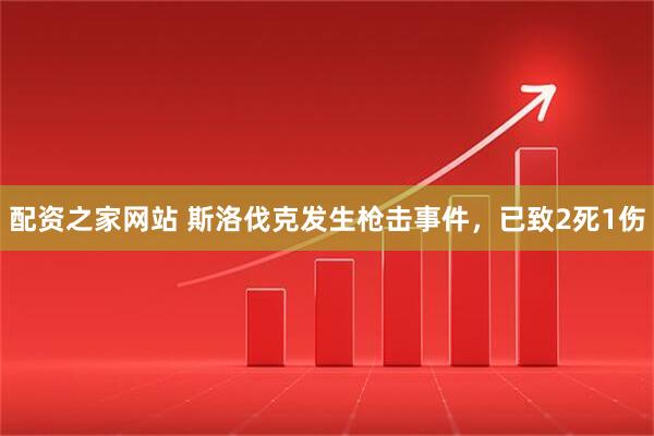 配资之家网站 斯洛伐克发生枪击事件，已致2死1伤