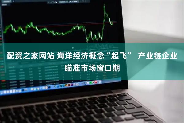 配资之家网站 海洋经济概念“起飞”  产业链企业瞄准市场窗口期