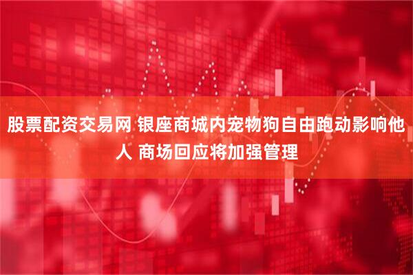 股票配资交易网 银座商城内宠物狗自由跑动影响他人 商场回应将加强管理